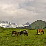 Отель Rural El Rexacu Бобия-де-Арриба