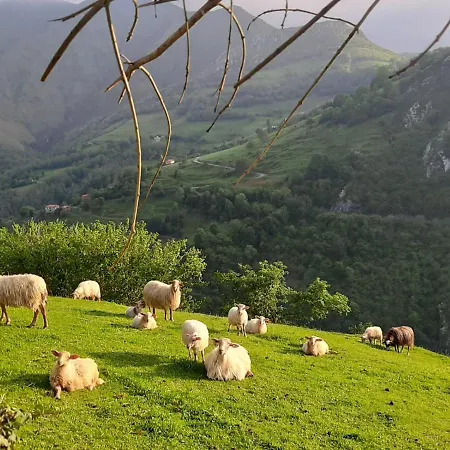 Rural El Rexacu 2*
