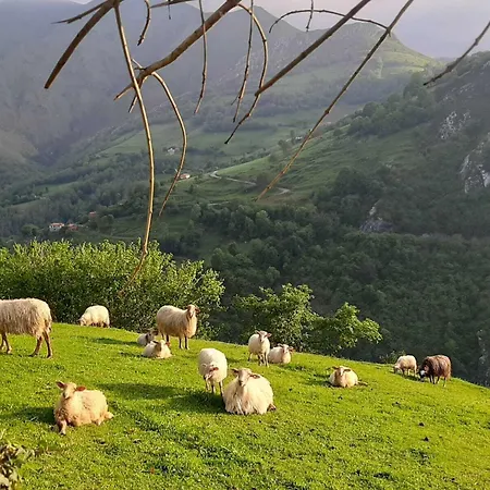 Rural El Rexacu Hotel