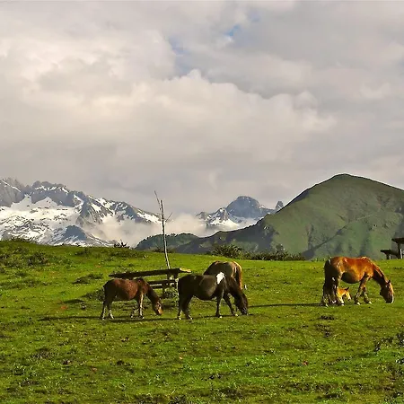 Hotel Rural El Rexacu Bobia de Arriba