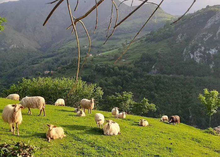 Rural El Rexacu Hotel