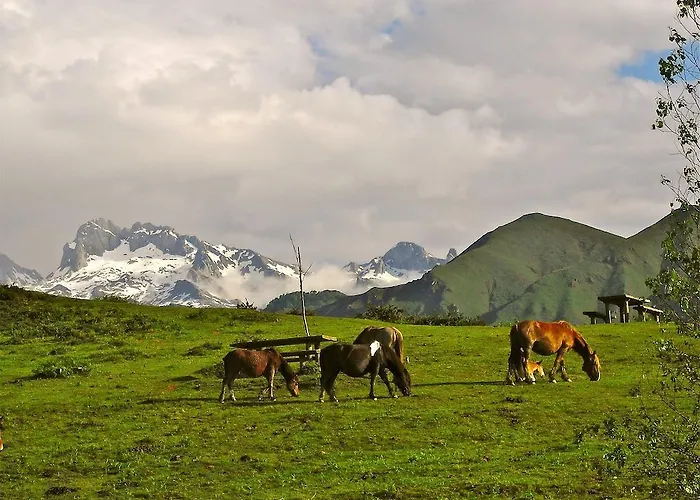 Hotel Rural El Rexacu Bobia de Arriba